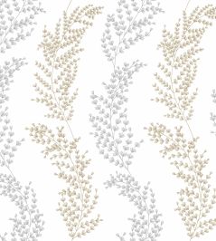 Mimosa Trail Wallpaper by Ohpopsi Neutral Mimosa Trail Wallpaper by Ohpopsi Neutral