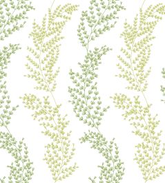 Mimosa Trail Wallpaper by Ohpopsi Olive Mimosa Trail Wallpaper by Ohpopsi Olive
