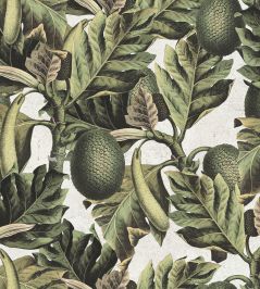 Exotic Fruit I Wallpaper by MINDTHEGAP Green Exotic Fruit I Wallpaper by MINDTHEGAP Green