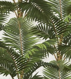 Jardin Tropical Wallpaper by MINDTHEGAP Green Jardin Tropical Wallpaper by MINDTHEGAP Green