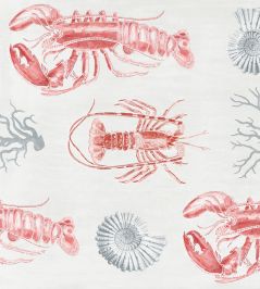 Lobster Wallpaper by MINDTHEGAP Red Lobster Wallpaper by MINDTHEGAP Red