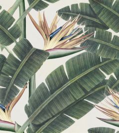 Tropical Bloom Wallpaper by MINDTHEGAP Green Tropical Bloom Wallpaper by MINDTHEGAP Green