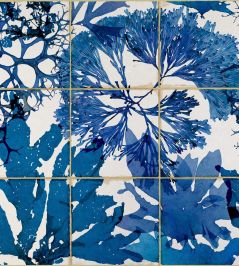 Algae Wallpaper by MINDTHEGAP Blue Algae Wallpaper by MINDTHEGAP Blue