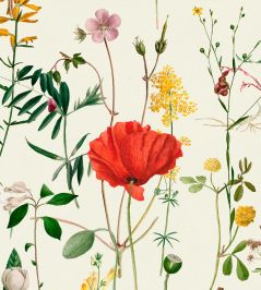 Aquafleur Wallpaper by MINDTHEGAP Green,Red,Yellow Aquafleur Wallpaper by MINDTHEGAP Green,Red,Yellow