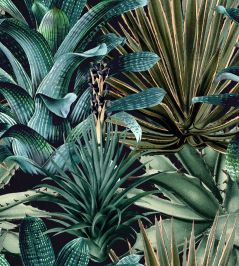 Lush Succulents Wallpaper by MINDTHEGAP Black,Green Lush Succulents Wallpaper by MINDTHEGAP Black,Green