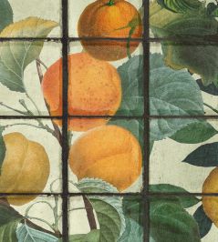 Orangerie Mural by MINDTHEGAP Green Orangerie Mural by MINDTHEGAP Green