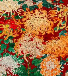 Chrysanthemums Wallpaper by MINDTHEGAP Green, Red, Yellow Chrysanthemums Wallpaper by MINDTHEGAP Green, Red, Yellow