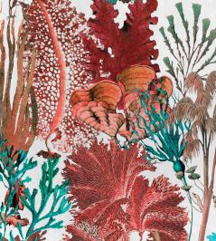 Coral Reef Wallpaper by MINDTHEGAP Blue, Red, White Coral Reef Wallpaper by MINDTHEGAP Blue, Red, White