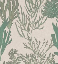 Light Corals Wallpaper by MINDTHEGAP Green, Taupe Light Corals Wallpaper by MINDTHEGAP Green, Taupe