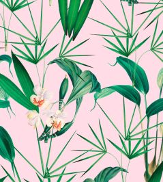 Palm Springs Wallpaper by MINDTHEGAP Green, Pink, White Palm Springs Wallpaper by MINDTHEGAP Green, Pink, White