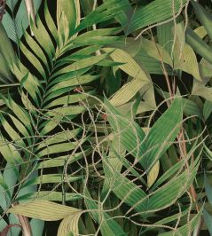 Exotic Garden Wallpaper by MINDTHEGAP Green Exotic Garden Wallpaper by MINDTHEGAP Green