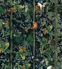 Wildlife Of Papua Wallpaper by MINDTHEGAP 27 Wildlife Of Papua Wallpaper by MINDTHEGAP 27