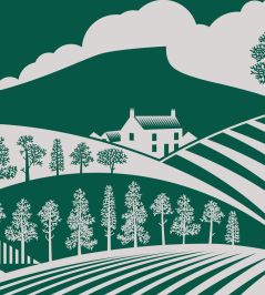 Moordale Wallpaper by Mini Moderns Douglas Fir Moordale Wallpaper by Mini Moderns Douglas Fir