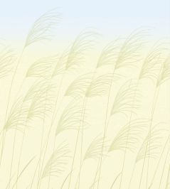 Miscanthus Mural by Harlequin Buttermilk/Sky Miscanthus Mural by Harlequin Buttermilk/Sky