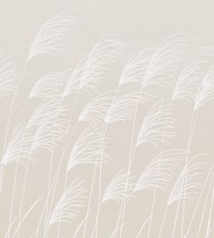 Miscanthus Mural by Harlequin Parchment/Frost Miscanthus Mural by Harlequin Parchment/Frost