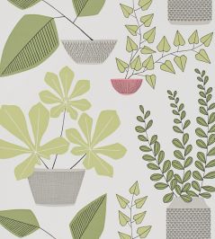House Plants Wallpaper by MissPrint Olive House Plants Wallpaper by MissPrint Olive