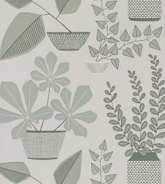 House Plants Wallpaper by MissPrint Brampton House Plants Wallpaper by MissPrint Brampton