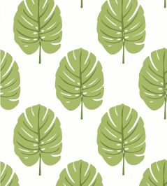 Monstera Wallpaper by Thibaut Apple Green Monstera Wallpaper by Thibaut Apple Green