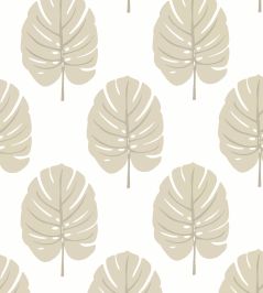 Monstera Wallpaper by Thibaut Beige Monstera Wallpaper by Thibaut Beige