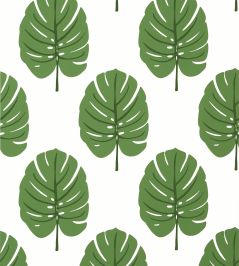 Monstera Wallpaper by Thibaut Green Monstera Wallpaper by Thibaut Green