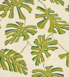 Monstera Wallpaper by Tres Tintas Lima Monstera Wallpaper by Tres Tintas Lima
