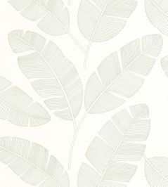 Moonlight Banana Tree Wallpaper by Caselio Vert Amande Moonlight Banana Tree Wallpaper by Caselio Vert Amande