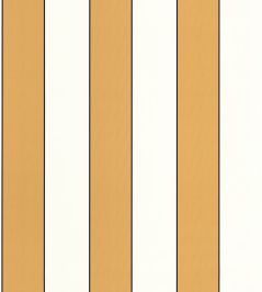 Moonlight Golden Lines Wallpaper by Caselio Moutarde Moonlight Golden Lines Wallpaper by Caselio Moutarde
