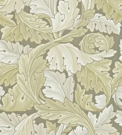 Acanthus Wallpaper by Morris & Co Stone Acanthus Wallpaper by Morris & Co Stone