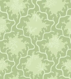 Moss Trellis Wallpaper by Cole & Son Matcha & Pistachio Green Moss Trellis Wallpaper by Cole & Son Matcha & Pistachio Green