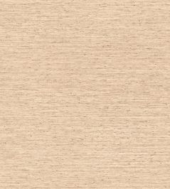 Motas Wallpaper by Arte Toast Motas Wallpaper by Arte Toast