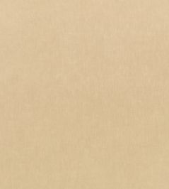 Motion Fabric by Kirkby Design Desert Motion Fabric by Kirkby Design Desert