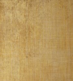 Murate Wallpaper by Nobilis Champagne Murate Wallpaper by Nobilis Champagne