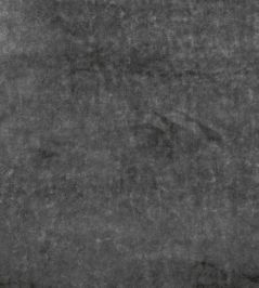 Musa Fabric by Black Edition Grey Seal Musa Fabric by Black Edition Grey Seal