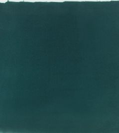 Myriis Fabric by Black Edition Teal Myriis Fabric by Black Edition Teal