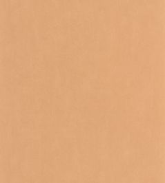 Nest Wallpaper by Casadeco Abricot Nest Wallpaper by Casadeco Abricot