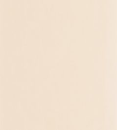 Nest Wallpaper by Casadeco Blanc Craie Nest Wallpaper by Casadeco Blanc Craie