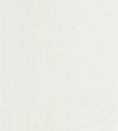 Nest Wallpaper by Casadeco Blanc Polaire Nest Wallpaper by Casadeco Blanc Polaire