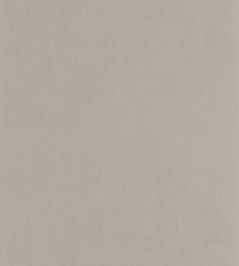 Nest Wallpaper by Casadeco Gris Etain Nest Wallpaper by Casadeco Gris Etain
