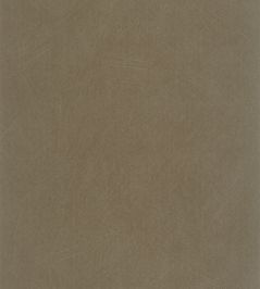 Nest Wallpaper by Casadeco Marmotte Nest Wallpaper by Casadeco Marmotte