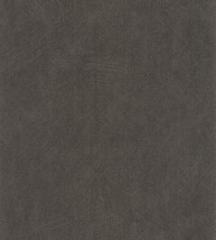 Nest Wallpaper by Casadeco Noir Reglisse Nest Wallpaper by Casadeco Noir Reglisse