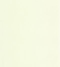 Nest Wallpaper by Casadeco Vert Amande Nest Wallpaper by Casadeco Vert Amande