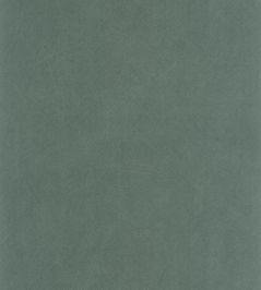 Nest Wallpaper by Casadeco Vert Emeraude Nest Wallpaper by Casadeco Vert Emeraude