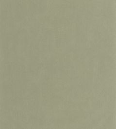 Nest Wallpaper by Casadeco Vert Eucalyptus Nest Wallpaper by Casadeco Vert Eucalyptus