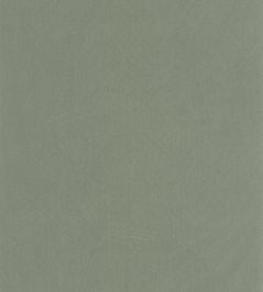 Nest Wallpaper by Casadeco Vert Nil Nest Wallpaper by Casadeco Vert Nil