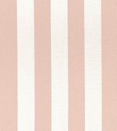 Newport Stripe Fabric by Thibaut Clay and Flax Newport Stripe Fabric by Thibaut Clay and Flax