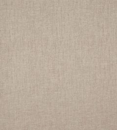 Nimbus Fabric by Prestigious Textiles Shell Nimbus Fabric by Prestigious Textiles Shell