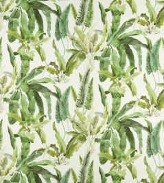 Benmore Fabric by Nina Campbell Green/Ivory Benmore Fabric by Nina Campbell Green/Ivory