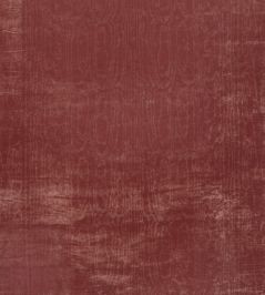 Cantabria Fabric by Nina Campbell Coral Cantabria Fabric by Nina Campbell Coral