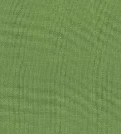 Colette Fabric by Nina Campbell GREEN Colette Fabric by Nina Campbell GREEN