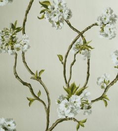 Orchard Blossom Wallpaper by Nina Campbell 5 Orchard Blossom Wallpaper by Nina Campbell 5